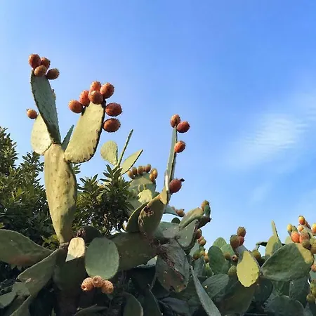 Bed and breakfast Atlante Palermo